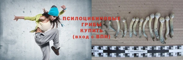 спайс Абинск