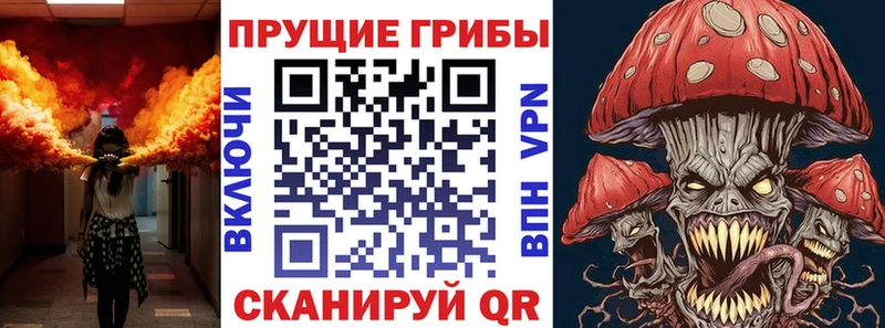 Галлюциногенные грибы мицелий  что такое наркотик  Шали 